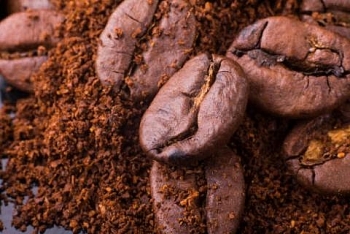 Colombia: Sản lượng cà phê arabica giảm trong khi xuất khẩu tăng trong tháng 11
