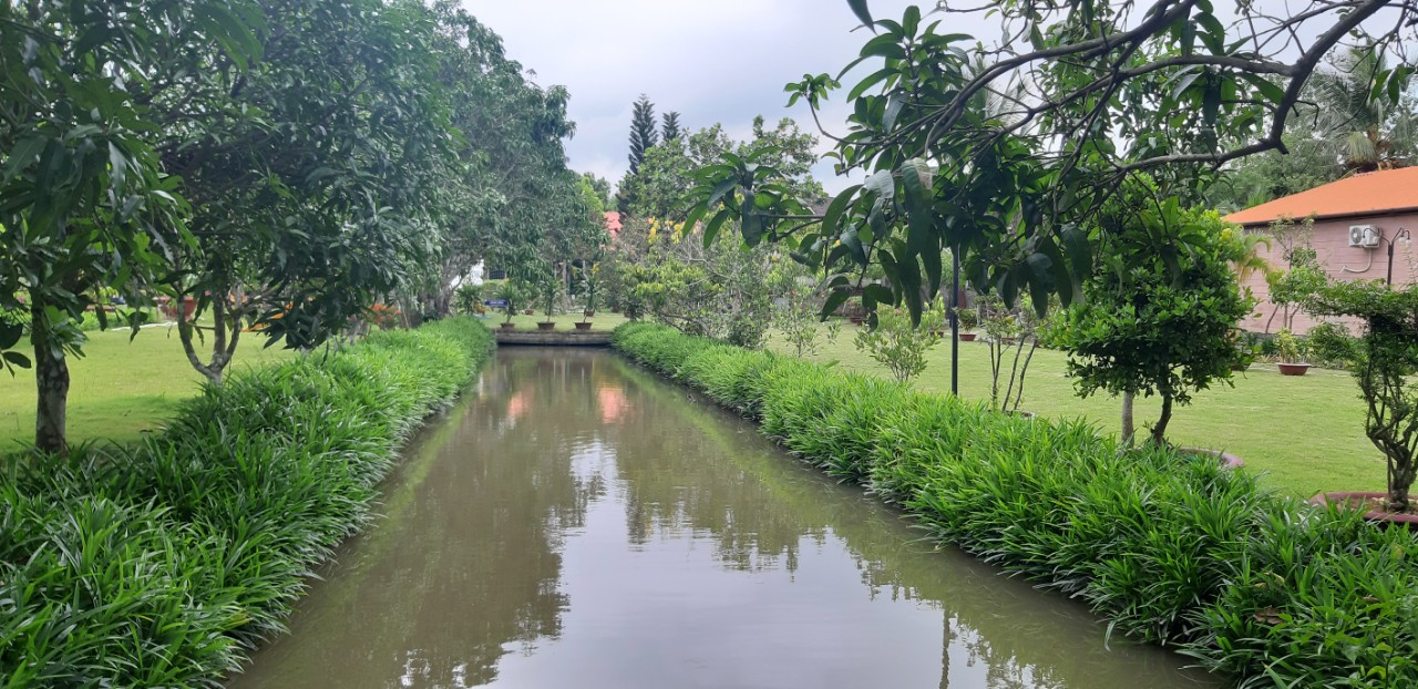 Món Nấm ngon lạ tại Nhà hàng chay đẹp nhất Cần Thơ