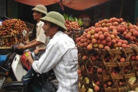 Xây dựng thương hiệu - điểm yếu của thị trường nông sản Việt