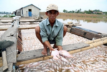 Công an điều tra việc hơn 1.500 tấn cá chết trên sông La Ngà