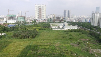Quy hoạch phát triển các thành phố: Đất nông nghiệp có còn quan trọng?
