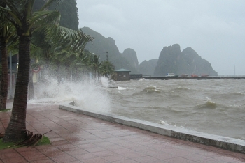 Các địa phương ven biển chủ động ứng phó với áp thấp nhiệt đới
