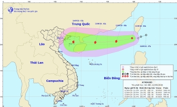 Áp thấp nhiệt đới đã vào biển Đông