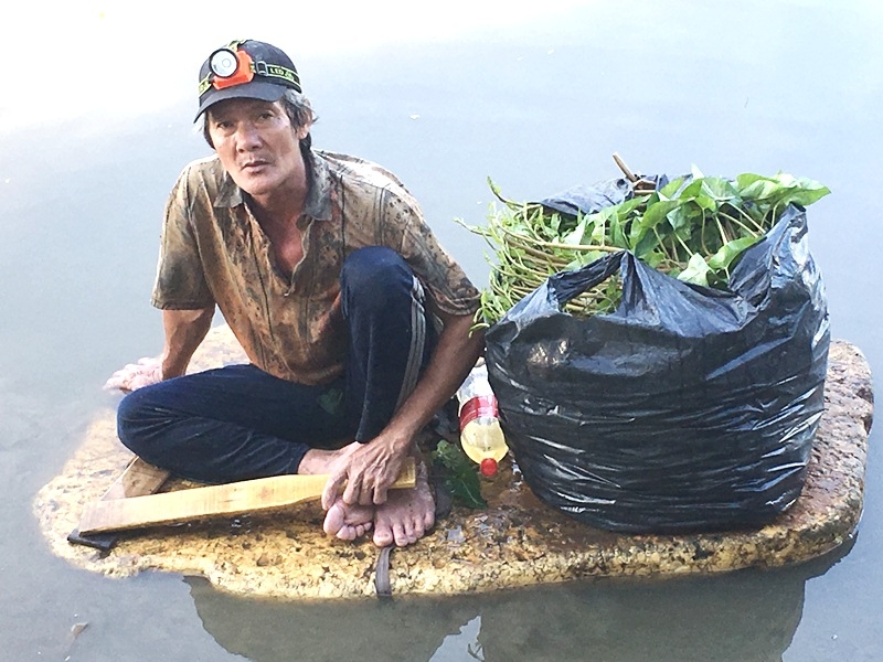 Kiếm sống bằng nghề hái rau muống hoang giữa Sài Gòn hoa lệ