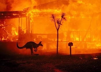 Toàn cảnh vụ cháy rừng lịch sử ở Australia