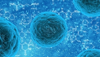 Khám phá các tế bào mới có thể giúp điều trị tất cả các bệnh ung thư