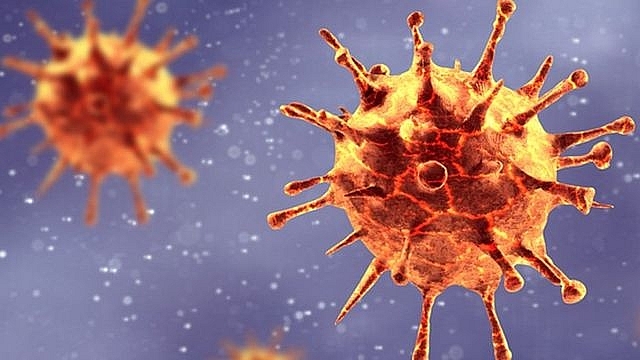 Biến thể virus corona hoàn toàn mới được phát hiện ở Nhật Bản