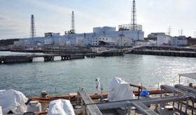 "Thủ phạm" gây mất điện ở Fukushima là... chuột