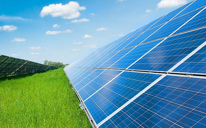 BP thâm nhập thị trường năng lượng mặt trời New Zealand