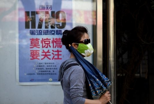 27 người chết vì H7N9, WHO cảnh báo đại dịch toàn cầu