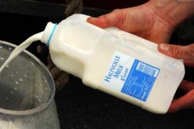 Hà Lan điều tra tình trạng khan hiếm sữa bột trẻ em