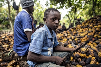 Sắp có nhà máy điện chạy bằng chất thải cacao ở Bờ Biển Ngà