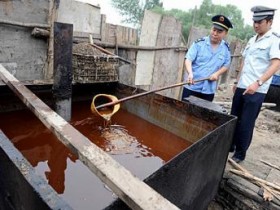 Dầu ăn Trung Quốc làm từ chất thải động vật