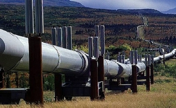 Phe đối lập Canada kêu gọi họp khẩn cấp vì đường ống dẫn dầu Trans Mountain