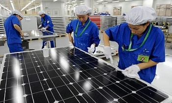 Vì sao EU ngừng đánh thuế các tấm pin mặt trời Trung Quốc?