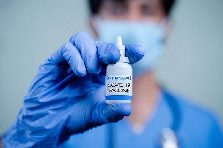 Triển vọng đẩy lùi Covid-19 bằng vắc xin dạng xịt mũi