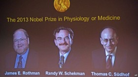 Ba nhà khoa học Mỹ và Đức đoạt giải Nobel Y học 2013
