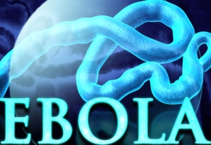 Virus Ebola đã biến đổi thành 300 phiên bản!