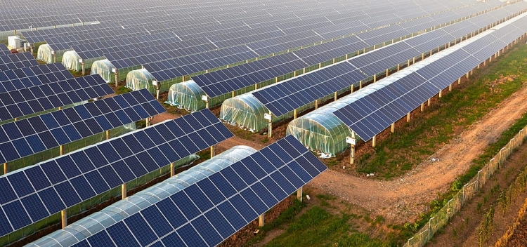 Pháp dùng thuế quan để khuyến khích phát triển điện mặt trời