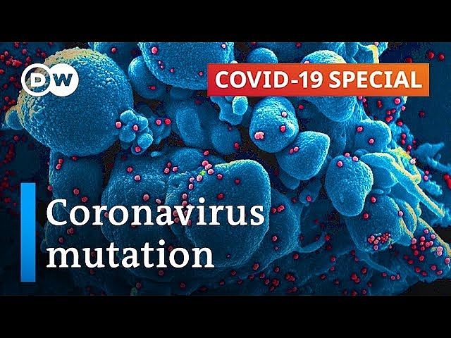 Chuyên gia Nga đánh giá sự nguy hiểm của coronavirus đột biến