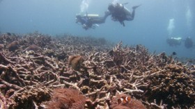 Bùng nổ kinh tế Trung Quốc phá hủy các rạn san hô ở Biển Đông