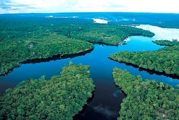Brazil từ chối cho Total thăm dò dầu khí ở cửa sông Amazon