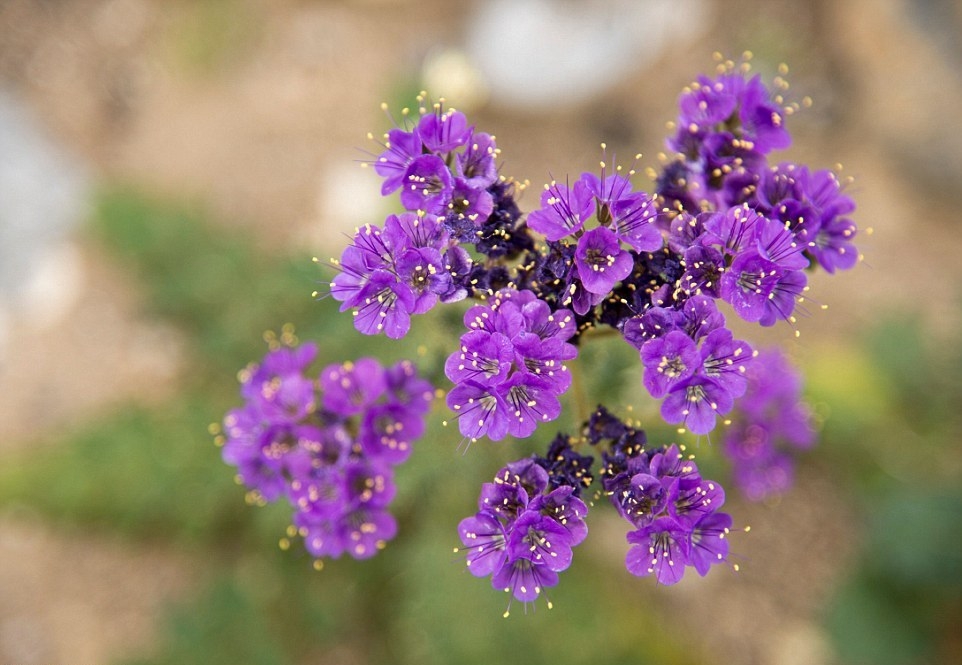 Tử vi ngày 24/3/2022: Tuổi Tý bước tiến đáng kể, tuổi Hợi gặp gỡ quý nhân