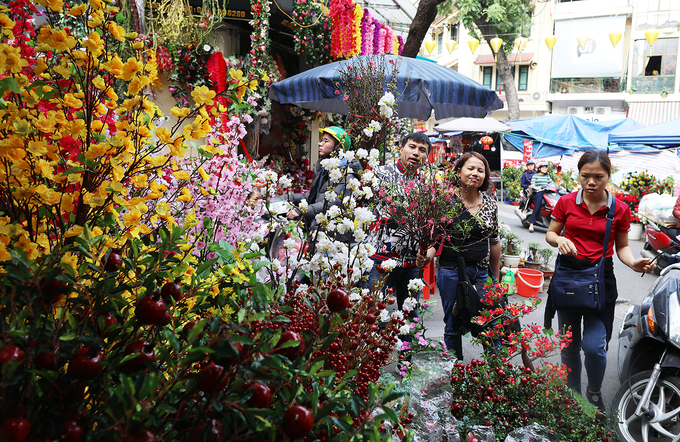 Chợ hoa phố cổ nhộn nhịp trước Tết