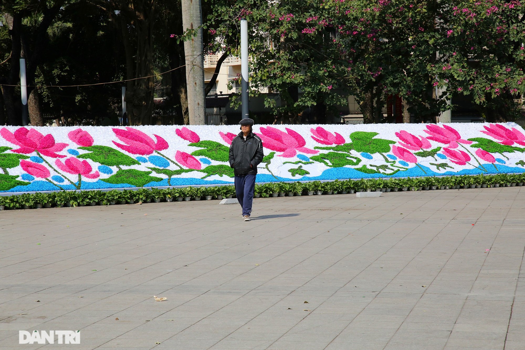 Hồ Gươm trang trí hoa rực rỡ sắc màu chào mừng Đại hội XIII của Đảng - 15