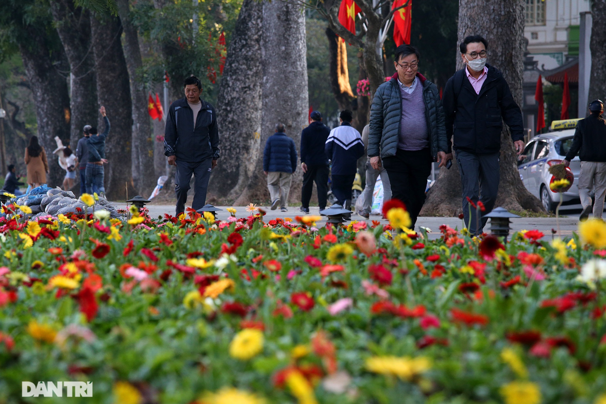 Hồ Gươm trang trí hoa rực rỡ sắc màu chào mừng Đại hội XIII của Đảng - 4