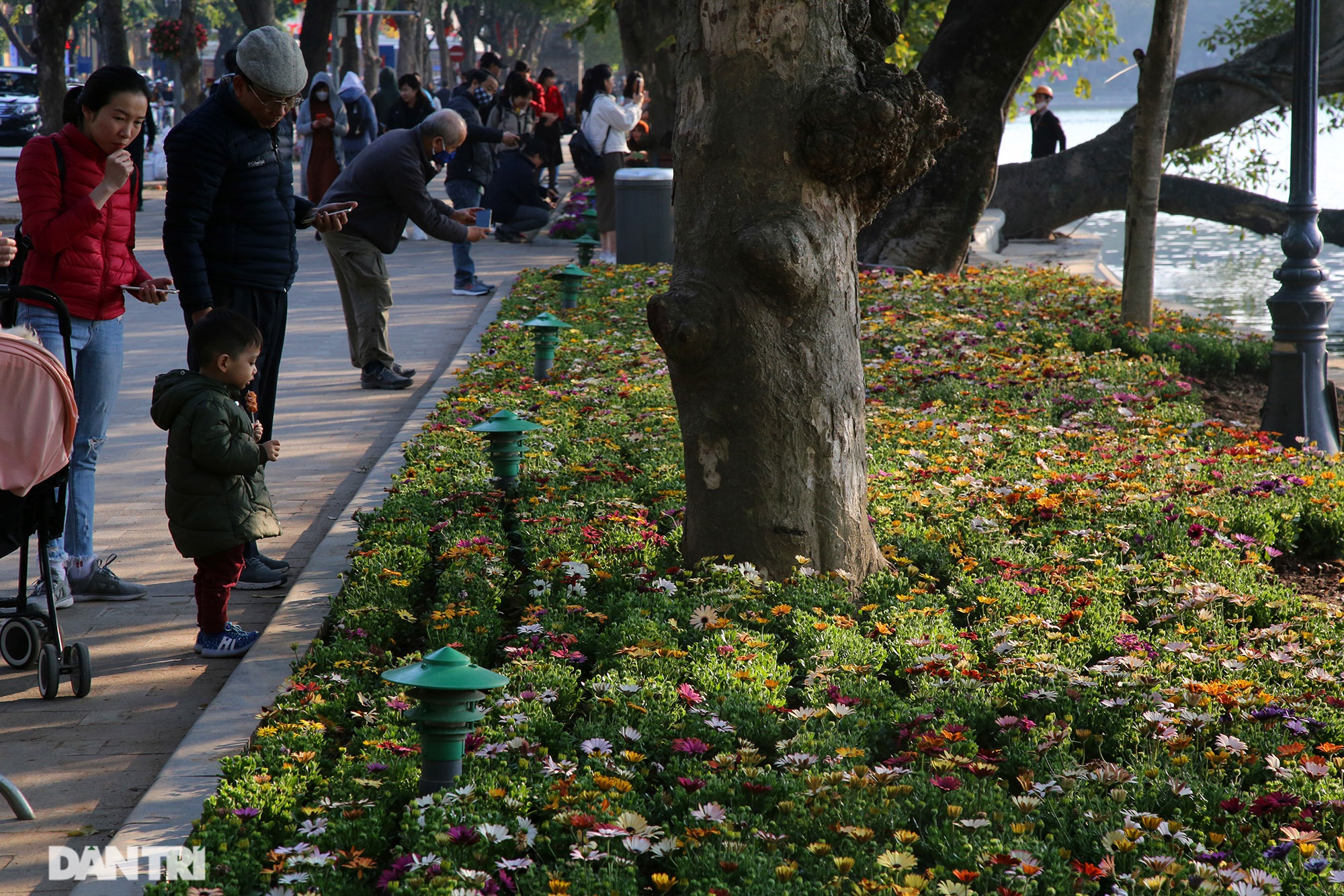 Hồ Gươm trang trí hoa rực rỡ sắc màu chào mừng Đại hội XIII của Đảng - 9