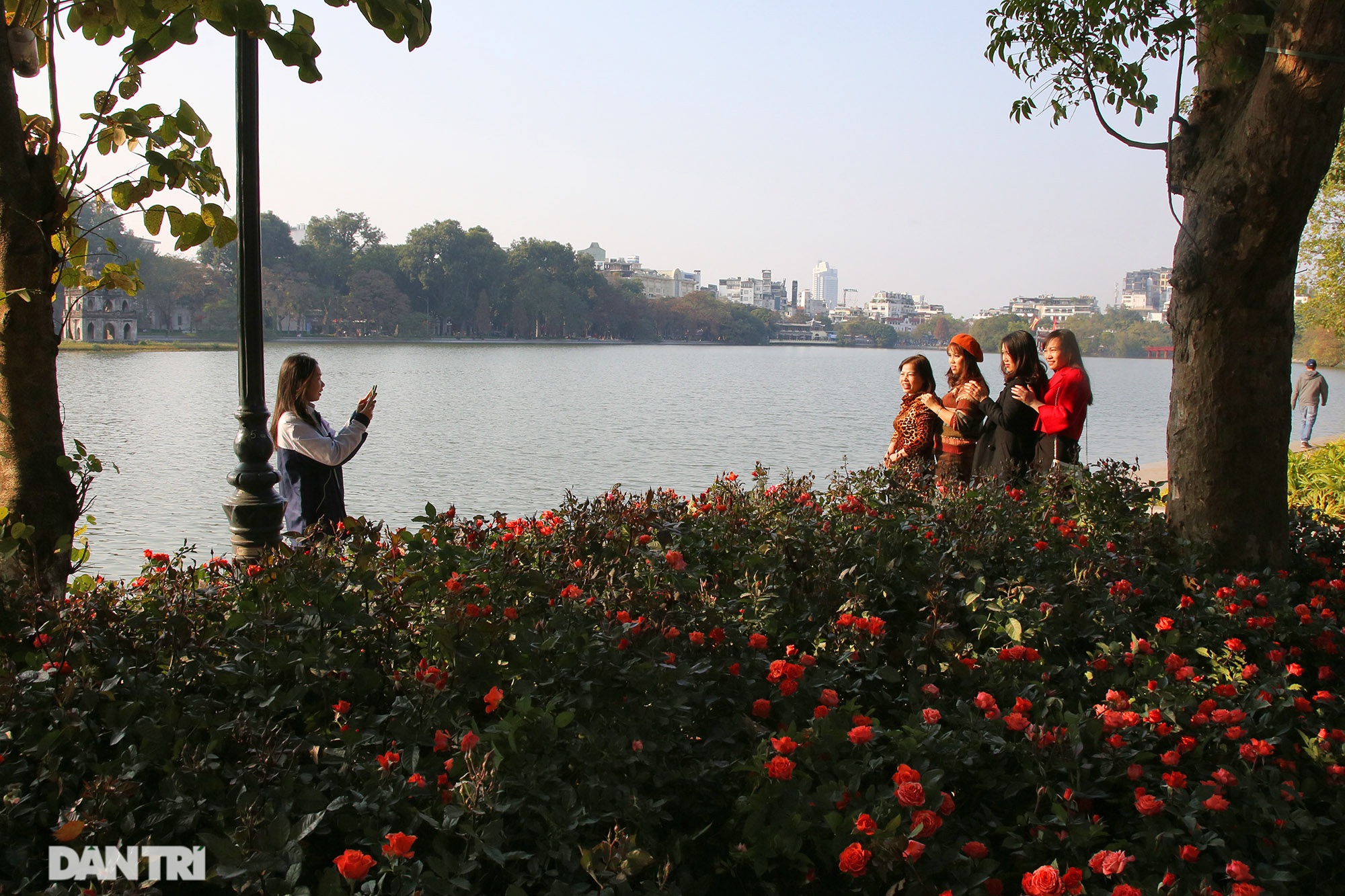 Hồ Gươm trang trí hoa rực rỡ sắc màu chào mừng Đại hội XIII của Đảng - 8