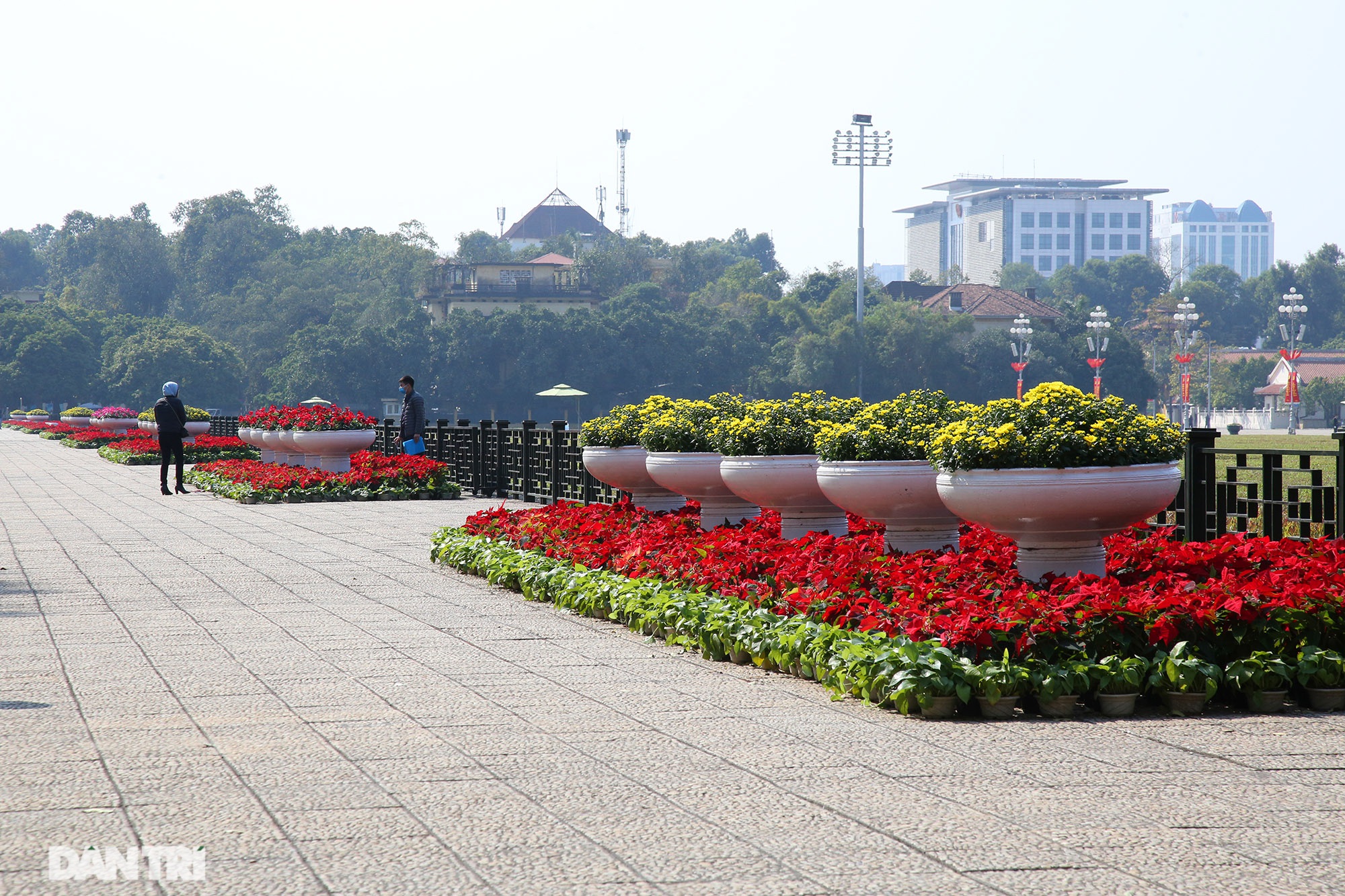 Hồ Gươm trang trí hoa rực rỡ sắc màu chào mừng Đại hội XIII của Đảng - 10