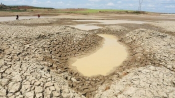 Dòng chảy từ Trung Quốc giảm làm gia tăng hạn mặn tại Đồng bằng sông Cửu Long