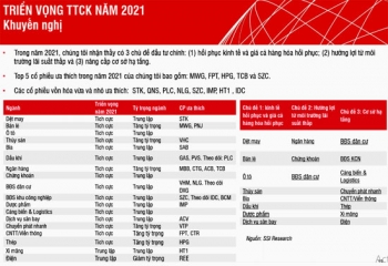 Những cổ phiếu nên đầu tư năm 2021