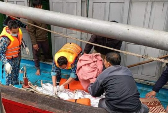 Tàu lạ đâm tàu cá Nghệ An, 8 người rơi xuống biển, 1 người tử vong - 2