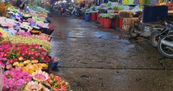 Chợ hoa Tết sầm uất nhất Hà Nội vắng "chưa từng có" vì dịch Covid-19