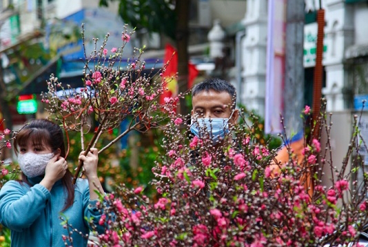 Hà Nội: Tổ chức 78 điểm chợ hoa Xuân phục vụ Tết Nhâm Dần 2022