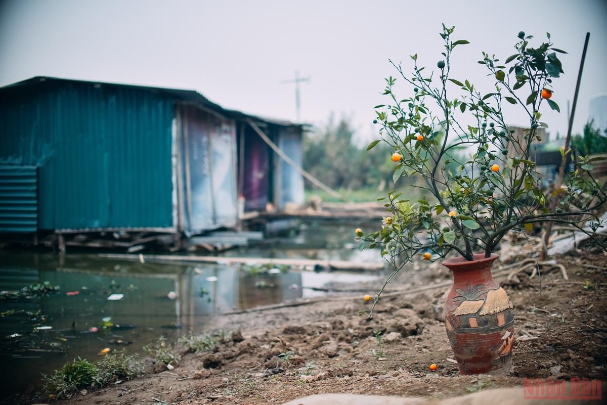 Những ngày cận Tết ở “xóm nhà phao”