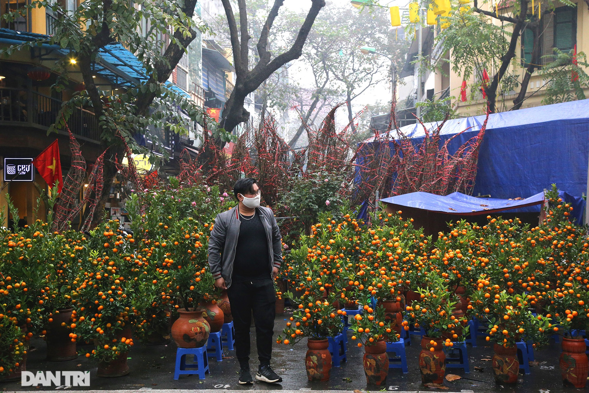 Chợ hoa chợ Tết ở Hà Nội hiu hắt vì dịch Covid-19 - 3
