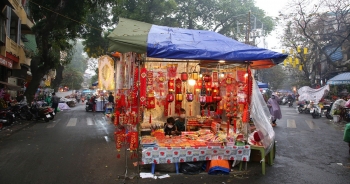 Chợ hoa chợ Tết ở Hà Nội hiu hắt vì dịch Covid-19