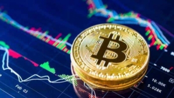 Các “cá voi” tăng cường tích lũy Bitcoin