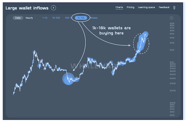 Dòng tiền của các cá voi Bitcoin (Nguồn: Whalemap)
