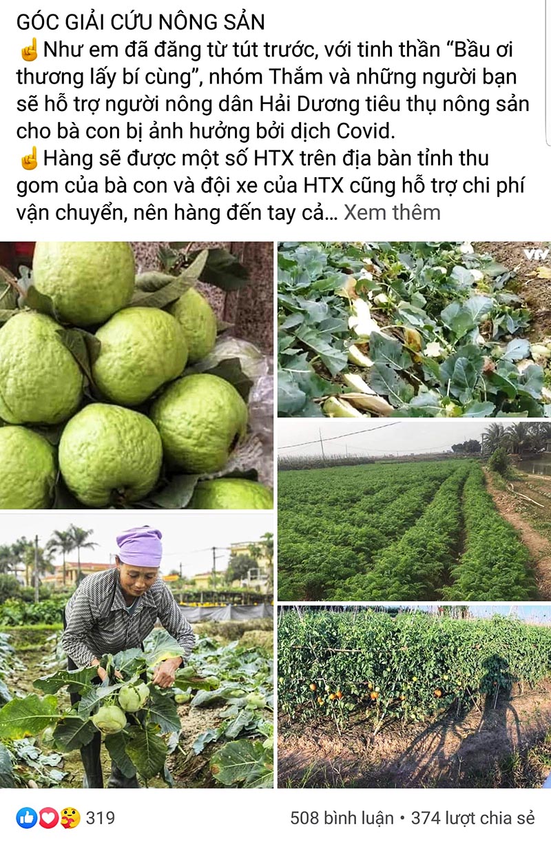 Hà Nội: Nhiều doanh nghiệp, cá nhân hưởng ứng giải cứu nông sản tại Hải Dương sau lời kêu gọi của Bí thư Thành ủy Vương Đình Huệ