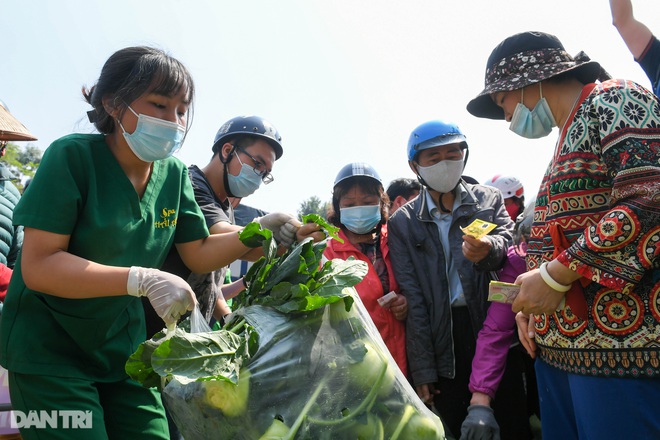Người Hà Nội giải cứu nông sản: Thương lắm, sốt ruột lắm nên phải ủng hộ - 14