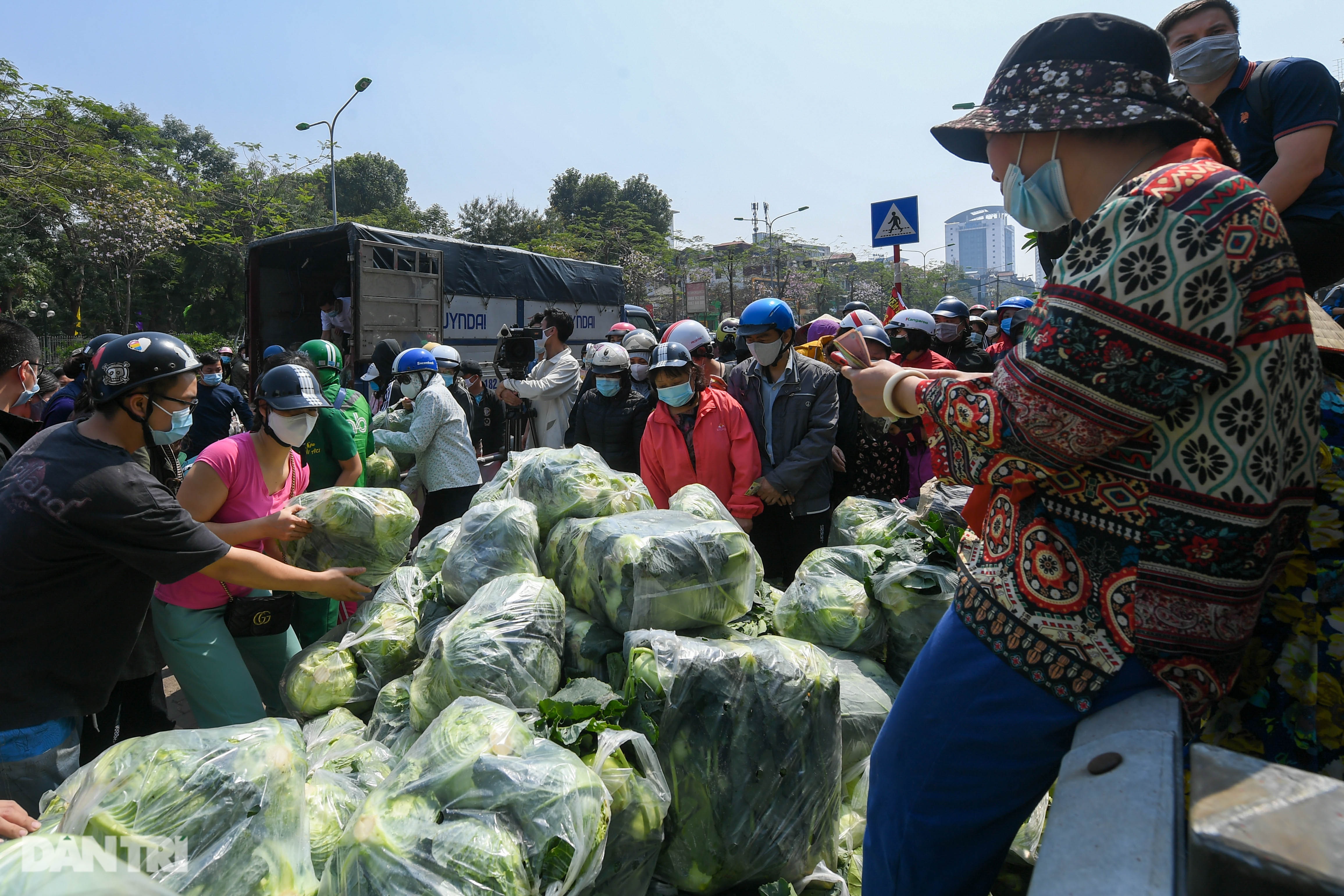 Người Hà Nội giải cứu nông sản: Thương lắm, sốt ruột lắm nên phải ủng hộ - 13