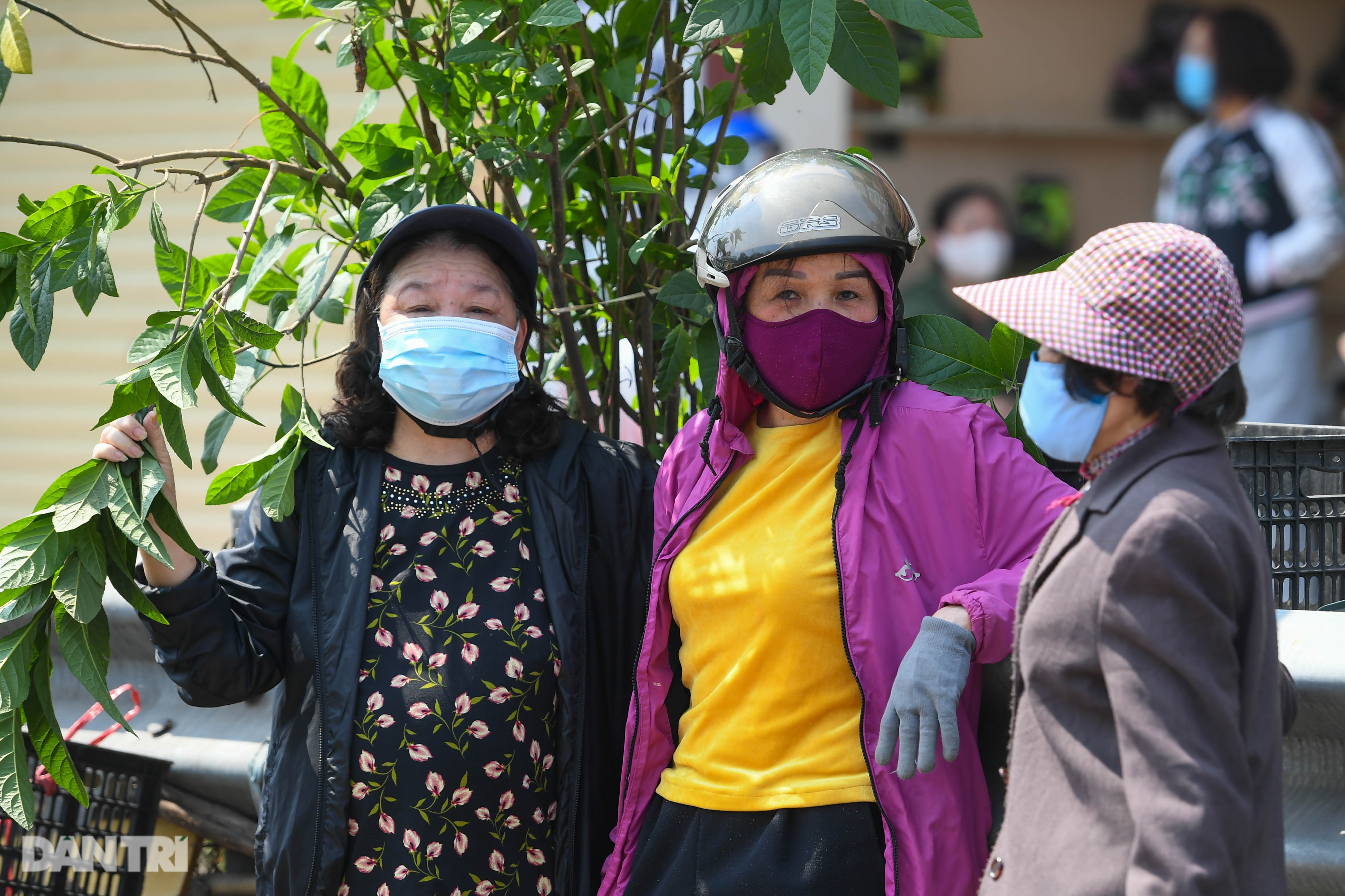 Người Hà Nội giải cứu nông sản: Thương lắm, sốt ruột lắm nên phải ủng hộ - 4