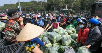 Người Hà Nội giải cứu nông sản: "Thương lắm, sốt ruột lắm nên phải ủng hộ"