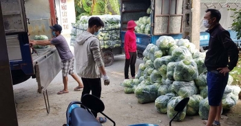 Nông sản Hải Dương: Vì sao Hải Phòng "cấm cửa", Hà Nội rộng đường chào đón?