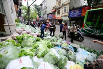 Từ câu chuyện nông sản Hải Dương: Cần tính trước các kịch bản "giải cứu" hàng hóa